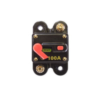 Circuit Breaker 100A