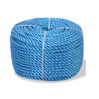 Blue Poly Rope 1/4"x27'